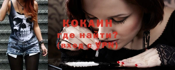 ECSTASY Алзамай