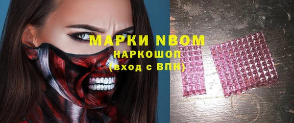 ECSTASY Алзамай