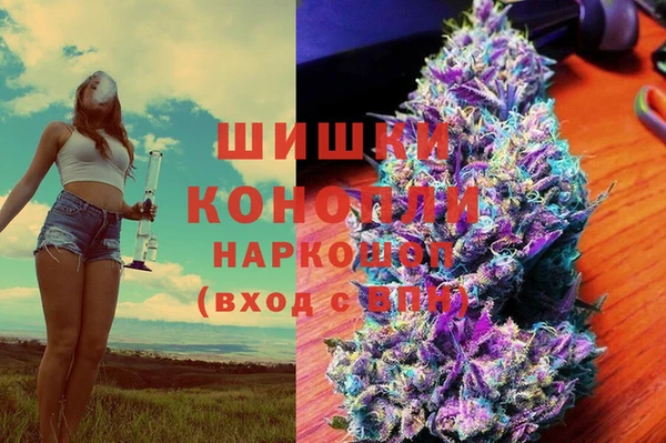 ECSTASY Алзамай